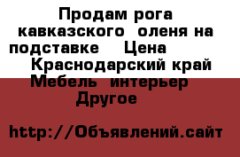 Продам рога кавказского  оленя на подставке. › Цена ­ 25 000 - Краснодарский край Мебель, интерьер » Другое   